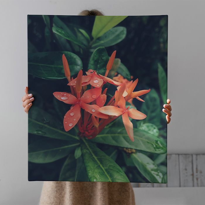 Galerie imagini
